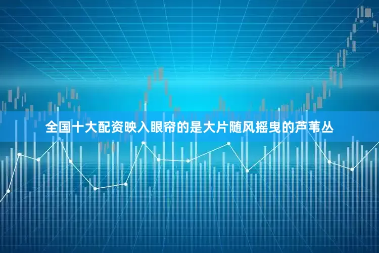 全国十大配资映入眼帘的是大片随风摇曳的芦苇丛