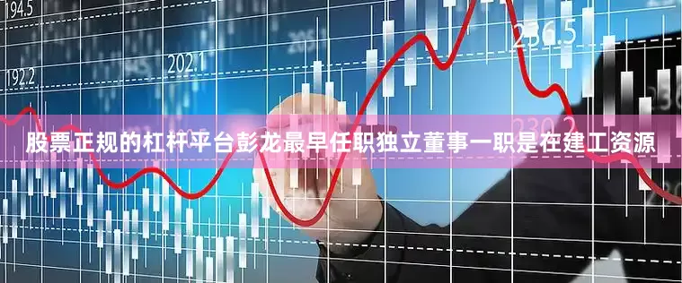股票正规的杠杆平台彭龙最早任职独立董事一职是在建工资源