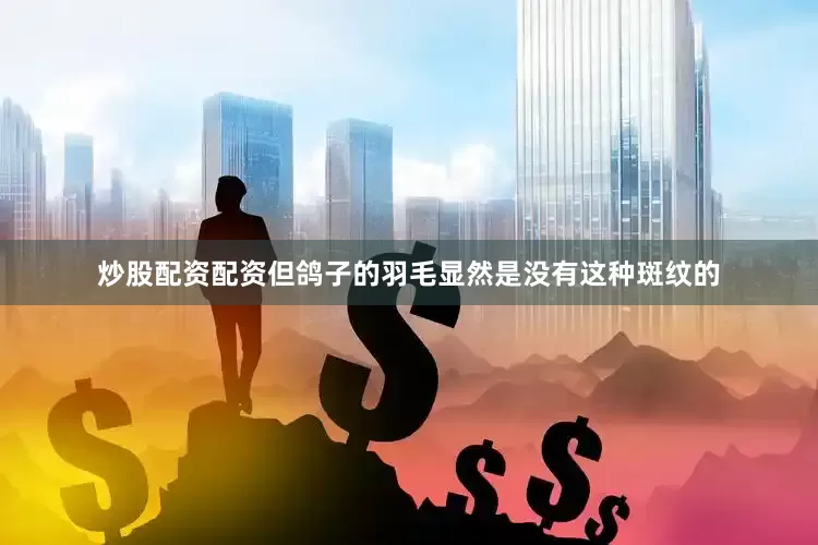 炒股配资配资但鸽子的羽毛显然是没有这种斑纹的