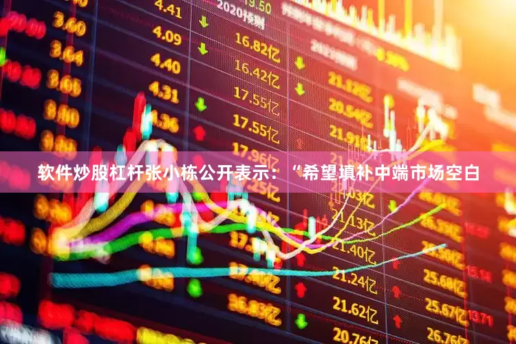 软件炒股杠杆张小栋公开表示：“希望填补中端市场空白