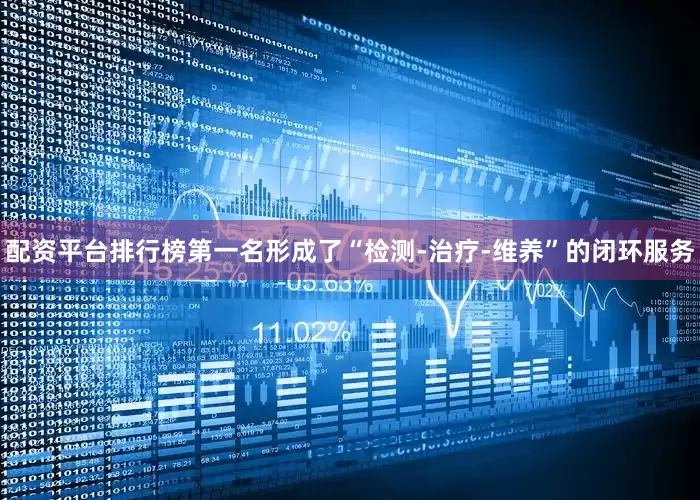 配资平台排行榜第一名形成了“检测-治疗-维养”的闭环服务